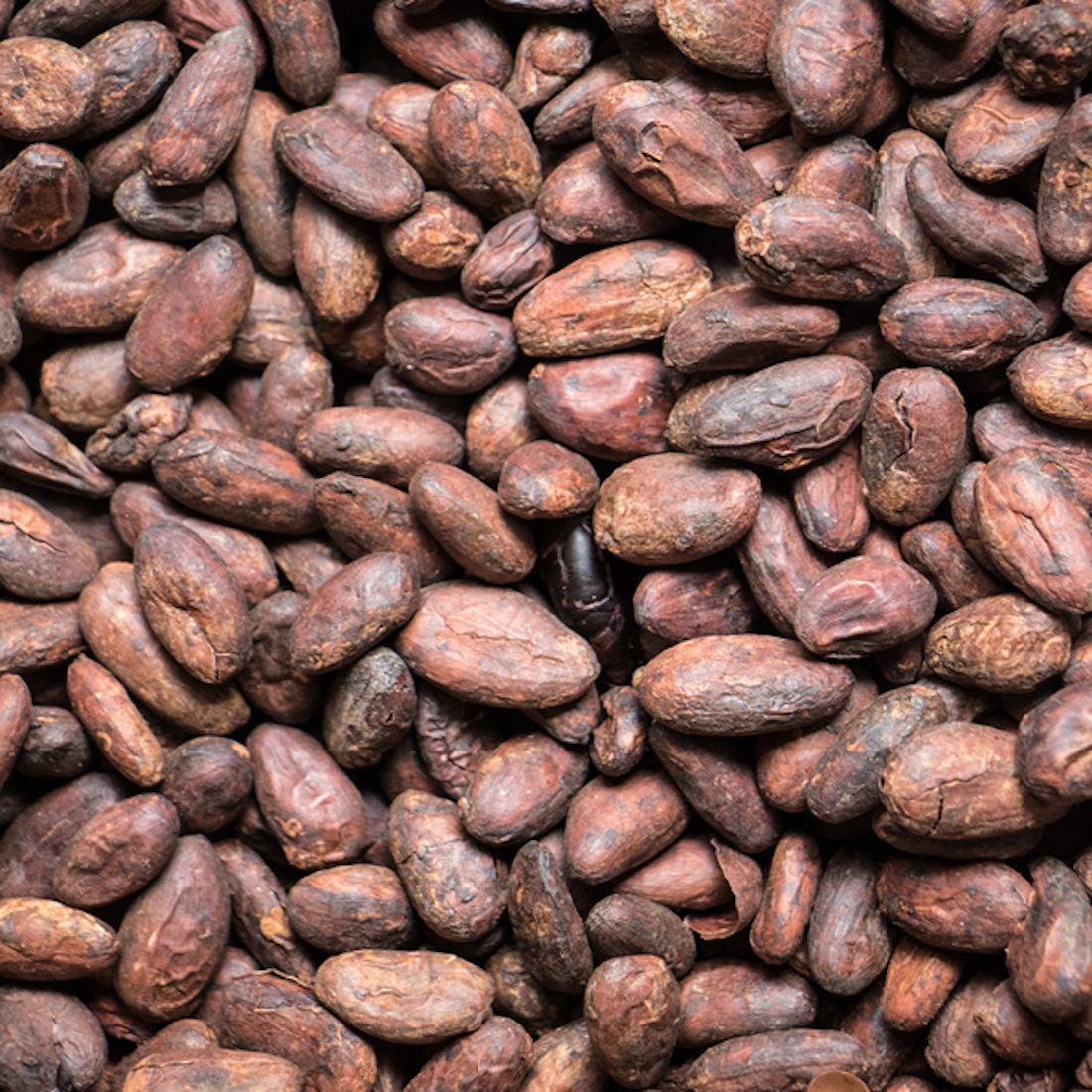 tragedie dichtbij tent Biologische cacaobonen kopen? - Bas Boer Noten